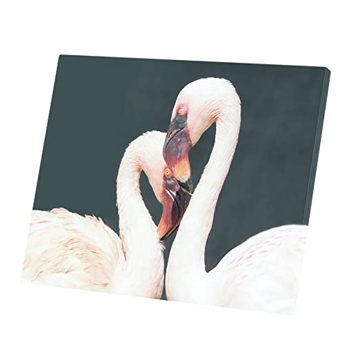 Affiche poster couple de flamingo rose pour salon romantique