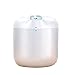 Nawilżacz 600 ml, mobilny USB, do sypialni, sypialni, sypialni, biura, cichego nawilżacza powietrza (kolor : biały, rozmiar: 14,33 x 4,92 cala)