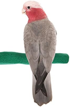Sweet Feet and Beak Comfort Grip Safety Perch for Bird Cages - Pedicure Perch for Birds to Keep Nails and Beaks in Top Condition - Safe Easy to Install Bird Cage Accessories - M 8.5"