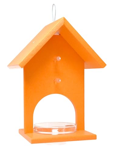 Songbird Essentials SERUBFJF Fruit and Jelly Oriole Feeder (Set of 1)