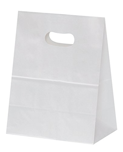 パックタケヤマ 紙袋 イーグリップ M 白無地 50枚 XZT52001