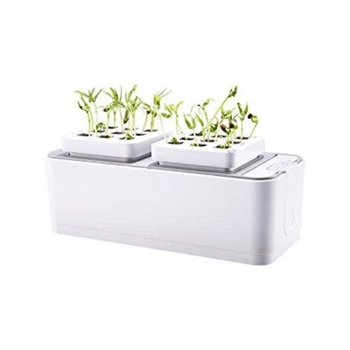 G/J/F Smart Hydroponic Basin, Automatic Water Absorption Soilless Cultivation Equipment Clean And Environmentally Friendly Planting Kit Suitable For Green Garden