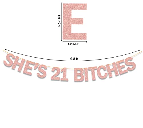 Image of She's 21 Bitches Banner 21st Birthday Decorations for Her Women, Funny Glitter Rose Gold Banner