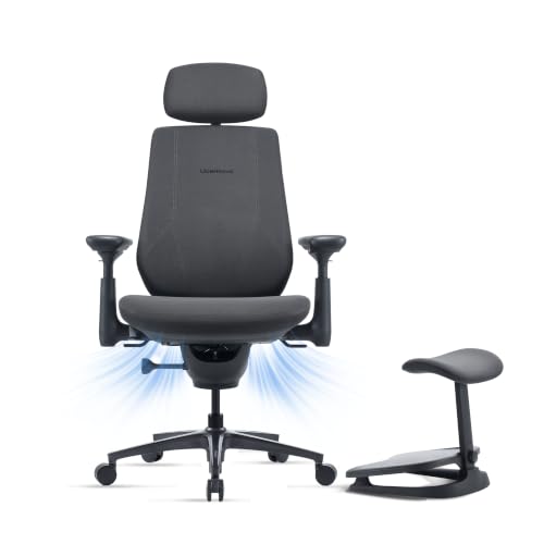 LiberNovo Maxis Airflow Big and Tall Ergonomic Off Review