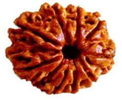 Retrend Design Natural 9 Mukhi Rudraksha Original Certified NineFaced Rudraksha with Pure Silver Caps. Blessed by Durga Maa