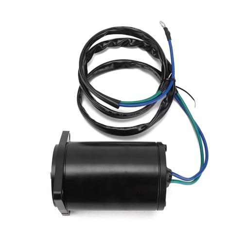 Démarreur de moto marine et moteur de trim d'inclinaison électrique F200 F250