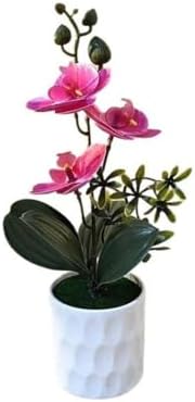 FACAIIO Künstliche Phalaenopsis-Orchideen, realistische Topfblumen, Heim- und Bü