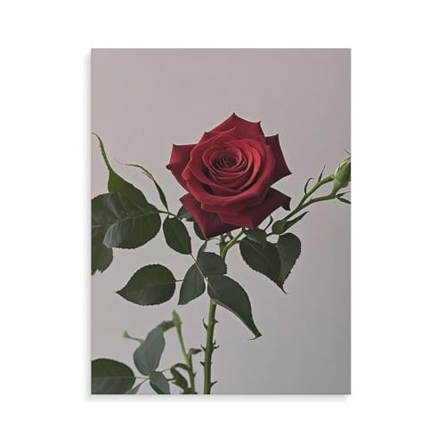 Peinture numéro rose rouge pour adulte une activité relaxante anti-stress