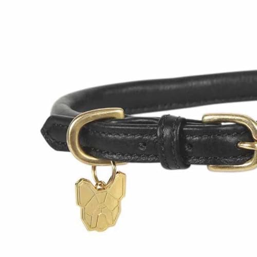 Digby & Fox- Hundehalsband, Aufgerolltes Leder, Schnalle (XXL- Neckline: 65 cm- 70 cm) (Petrol)-8