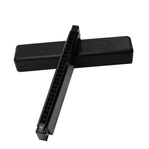 Harmonica vibrato à 24 trous pour surmonter les difficultés du premier instrument