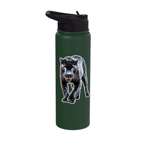 Black Panther Stainless Steel Insulated Water Bottle
