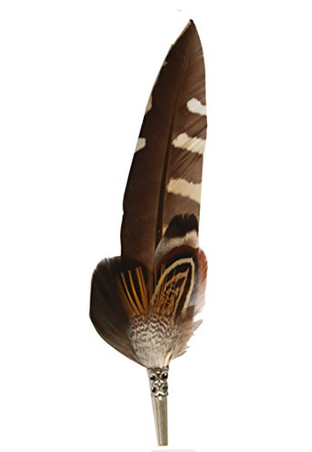 Breiter Caneta autêntica para chapéu broche penas de faisão dourado pato - feito à mão - acessório de chapéu tradicional, inclui capa metálica - 16 x 3 cm, Castanho