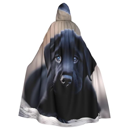 Manteau à capuche Labrador noir vêtement adulte contre le froid