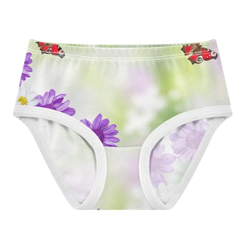 Toddler Girls Underwear 2t Cotton Panties for Girl Personalized Underpants Briefs Purple White Flowers Butterflies