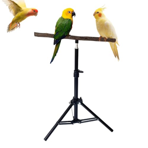 Habitat compact pour oiseau et support de perchoir durable à base trépied - 2
