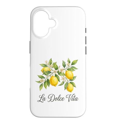 La Dolce Vita ������ �C�^���A�� �� �������`�F�b�� �A�}���t�B�C�� �X�}�z�P�[�X iPhone 16 �p