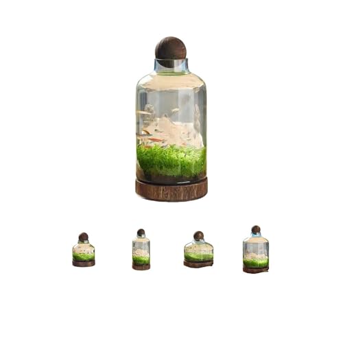 LIVIAKX ؐgCt zf Eiϋ㝁Ekrp rO/֑ ԎKKX iόp (M)