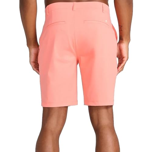 Hanover Pull-On Short in Macadamia2