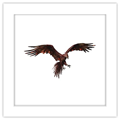 Poster Animaux Fantastiques Phoenix 30x30 cm Blanc encadré