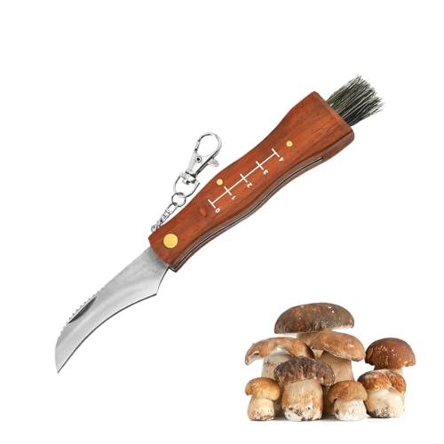 Coltello per Funghi, Coltello Micologica con Spazzola in Setola di Cinghiale, Acciaio Inox