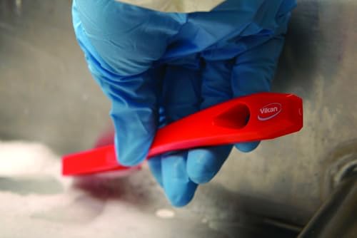 Image of 1 /2 in W Detail Brush, Stiff, 5 1 /2 in L Handle, 2 in L Brush, Red, Plastic, 8 in L Overall - 1 Each