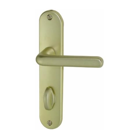 DT 2000 Poignée de porte Alu Cover