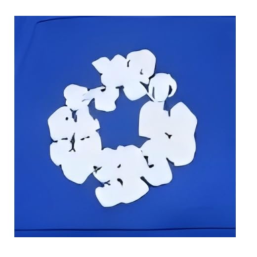 Graphic Hoodies Vintage Printed Hoodie Sweatshirt Casual Oversized Long Sleeve Streetwear Hooded Pullover