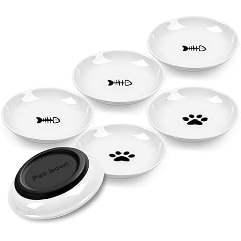 Cat Bowls,Whisker Fatigue Cat Bowl with Anti-Slip Silicone Base Cat Feeding Bowls & Shallow Cat Plates for Wet and Dry Food,Ceramic Cat Dish for Cats,Kittens and Small Dogs(6 Pack) Cover
