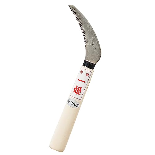 P  Xe Y { G     Trɂ