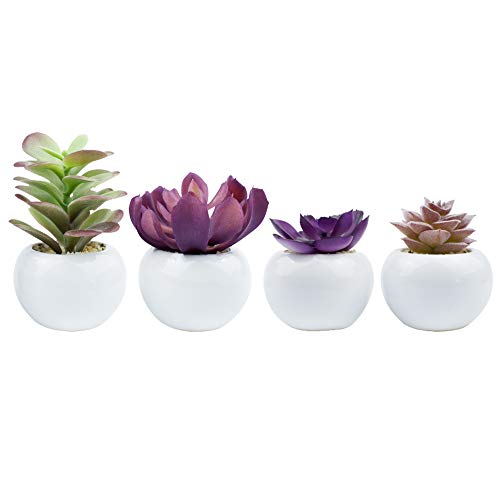 4 PCS Artificial Succulent Plants, Mini-Sized Assorted Fake Succulent Potted with White Ceramic