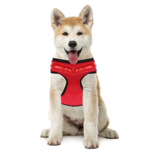 Chaleco transpirable para perros WATIIFUFU con luz LED y carga USB de nylon para pasear de noche 6