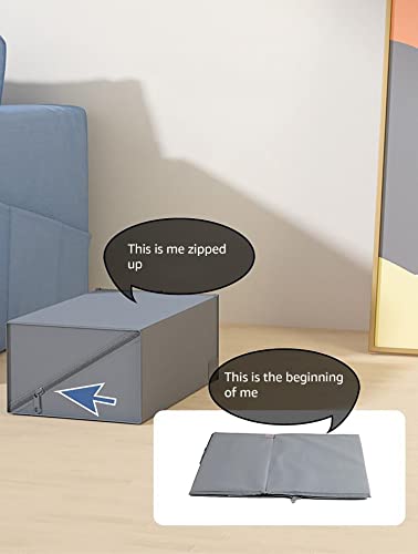 Image of House of Quirk Foldable Non-Woven Shoe Storage Box with Clear Mesh Window - Perfect for Organizing Shoes (Grey, Pack of 2 Box)