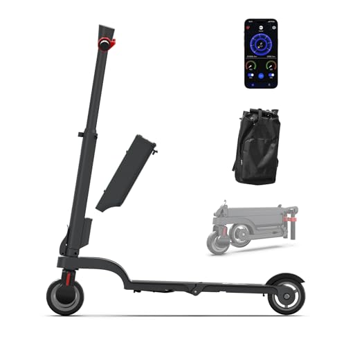 HX X6 Electric Scooter with Removable Battery, Electric Scooter F...