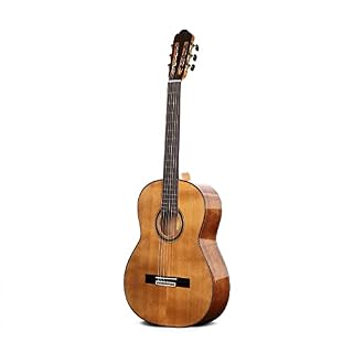 MEIeynt Guitare Acoustique Classique 39 »pour kit de Bundle Adulte débutant avec accordeur de Sangle de Sac Capo String… - Les Beatles, Paul McCartney, John Lennon, RIngo Starr, George Harrison
