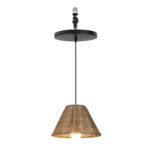 Image of Recessed Can Light Conversion Kit to Pendant
