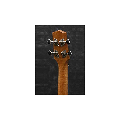 Ibanez, ukulélé 4 cordes, droite, pores ouvertes naturelles (UEW5S) - Les Beatles, Paul McCartney, John Lennon, RIngo Starr, George Harrison Ibanez, ukulélé 4 cordes, droite, pores ouvertes naturelles (UEW5S) – Image 5