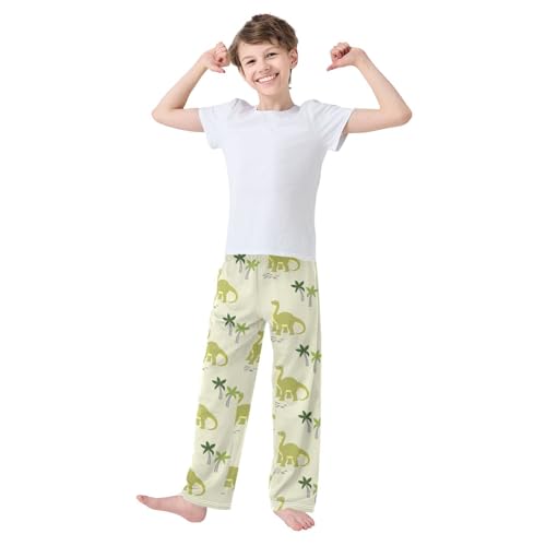 Dinosaurs Boys Pants Boys Athletic Pants Long Pant for Boywith Pockets Wide-Leg Size 6-14Y3