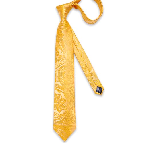 Image of DiBanGu Silk Floral Ties for Men Woven Paisley Necktie and Tie Clip Handkerchief Cufflinks Set for Party Wedding