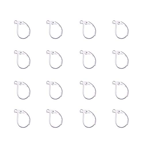 PH PandaHall 20pcs 304L Stainless Steel Lever Back Hoop Earrings, Stainless Steel Color, 15x10mm