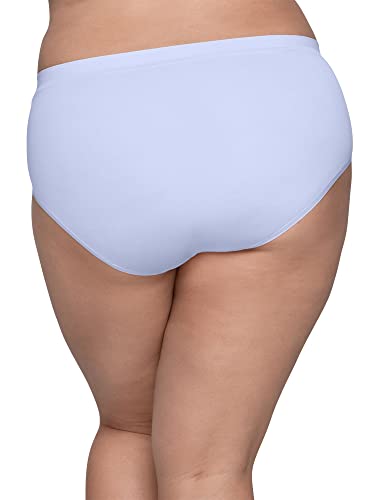 Fruit of the Loom Women's Fit for Me Plus Size Assorted Seamless Brief Underwear, 10 Pack3