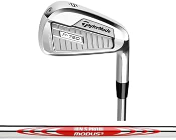 Amazon.co.jp: TaylorMade P760#4 アイアン スチール ニッポン NS Pro