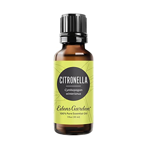 Edens Garden Citronella Essential Oil- 100% Pure Premium Grade, Undiluted, Natural, Therapeutic, Aromatherapy, The Best for Diffuser, Skin, Candle, Kid Safe 30 ml (1 fl oz)