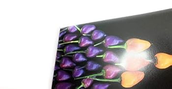 Paperback Chile Pepper Passion Postcard Book
