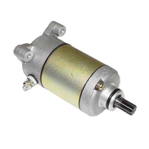 500cc dX^[^[[^[A500CC ATV UTV S[J[goM[ɓK iXyAj