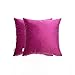 MARARDI Pack de 2 Housses de Coussin en Velours Doux [Fuchsia] 45x45cm avec [Fermeture Éclair Invisible] Décoratif Lit Sofa Chaise Chambre Cuisine Jardin Salle et Bureau