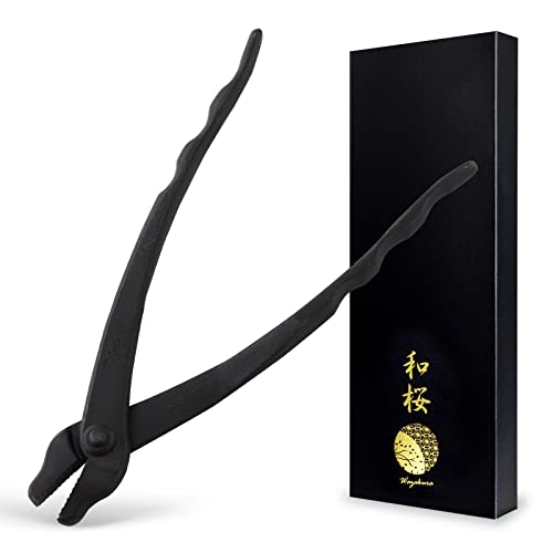 Wazakura Hand Forged Bonsai Wire and Jin Pliers Made in Japan 210mm(8.25inch), Bonsai Training Wire...