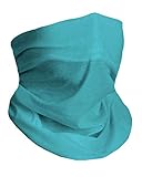 Clear Day Blue Seamless Mask Bandana