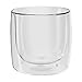ZWILLING Sorrento 2-pc Double-Wall Tumbler Glass Set - Clear