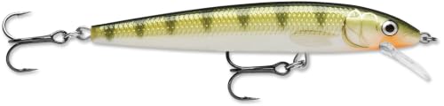 Rapala Husky Jerk 10 Suspending