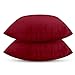 LuMy 4You Confezione da 2 Federe in Velluto Copricuscini Decorativi Fodere Quadrate per Cuscino per Divano Camera da Letto Casa (30 X 30, Rosso bordò)